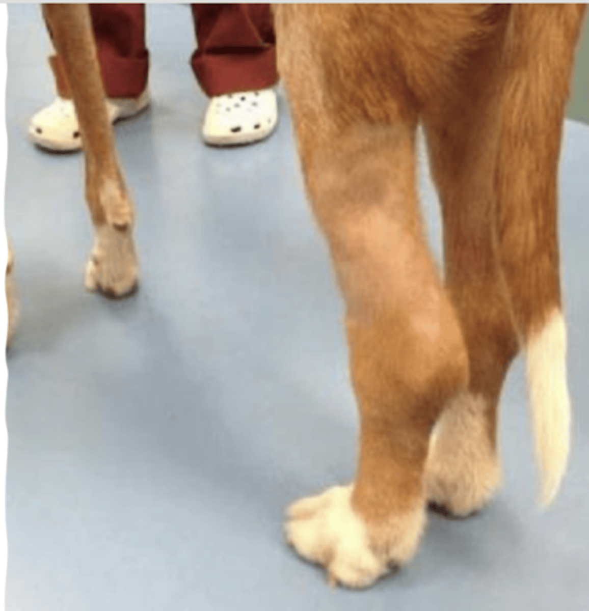 <p>what is this?</p>