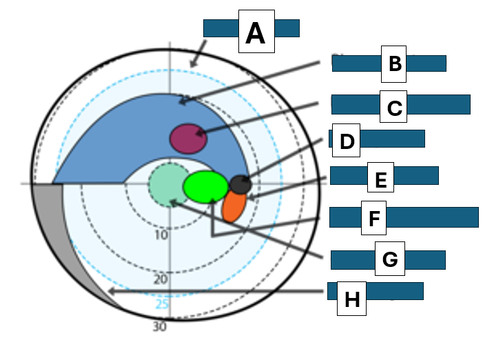 <p>A</p>