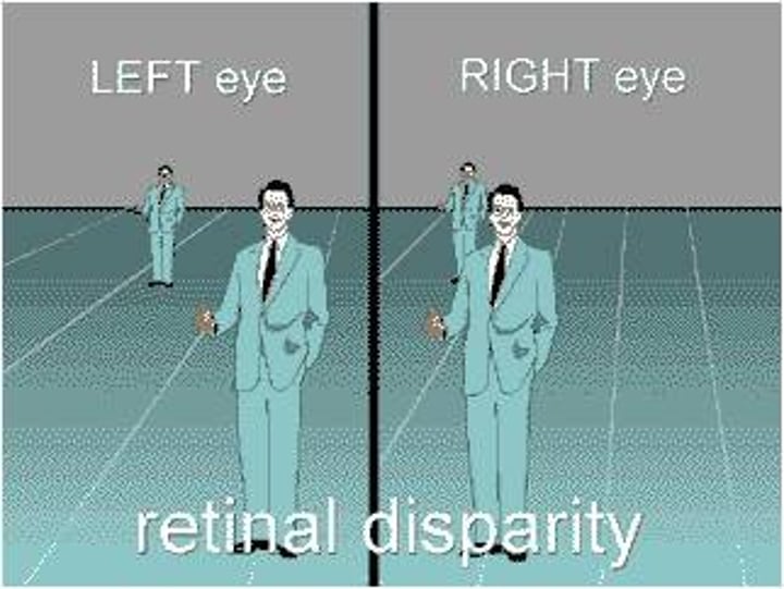 <p>Clues about distance based on the differing views of the two eyes</p>