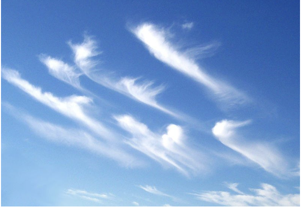 <p><span>At what altitude would you expect this cloud type to be at?</span></p>