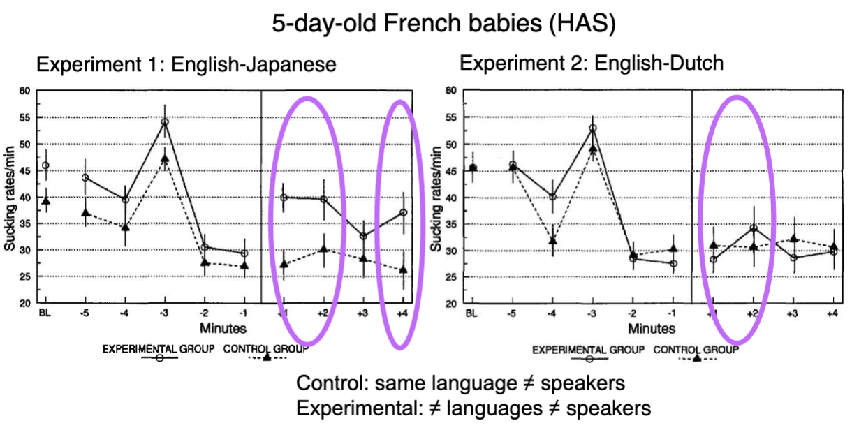 <ul><li><p class=""><strong>Experiment 1 (English-Japanese):</strong></p><ul><li><p class="">Languages belong to <strong>different rhythmic classes</strong> (stress-timed vs. mora-timed).</p></li><li><p class=""><strong>Experimental group</strong> (different language and speaker): a <strong>significant increase</strong> in sucking rate when language changed.</p></li><li><p class=""><strong>Control group</strong> (same language, different speaker): no significant change.</p></li><li><p class="">→ Indicates infants can detect <strong>rhythmic differences</strong> across languages.</p><p class=""></p></li></ul></li><li><p class=""><strong>Experiment 2 (English-Dutch):</strong></p><ul><li><p class="">Both languages are <strong>stress-timed</strong> (same rhythmic class).</p></li><li><p class="">No significant change in sucking rates after the language switch.</p></li><li><p class="">→ Infants <strong>cannot discriminate</strong> between languages of the <strong>same rhythmic class</strong> at 5 days old.</p><p class=""></p></li></ul></li></ul><p><strong> Key Point: </strong></p><figure data-type="blockquoteFigure"><div><blockquote><p class=""><strong>Discrimination between rhythmic classes is present at birth</strong>, but <strong>discrimination within a rhythmic class only emerges after ~4 months</strong>.</p></blockquote><figcaption></figcaption></div></figure><p></p>