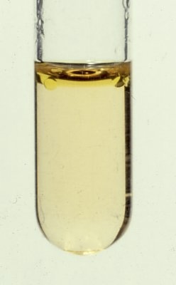 <p>What does it mean if indole is yellowish/clear top</p>
