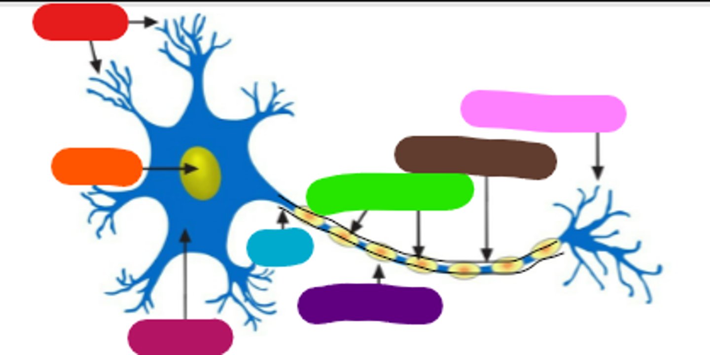 <p>What is this (two black lines)?</p>