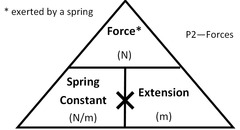 <p>force = springs constant * extension</p>