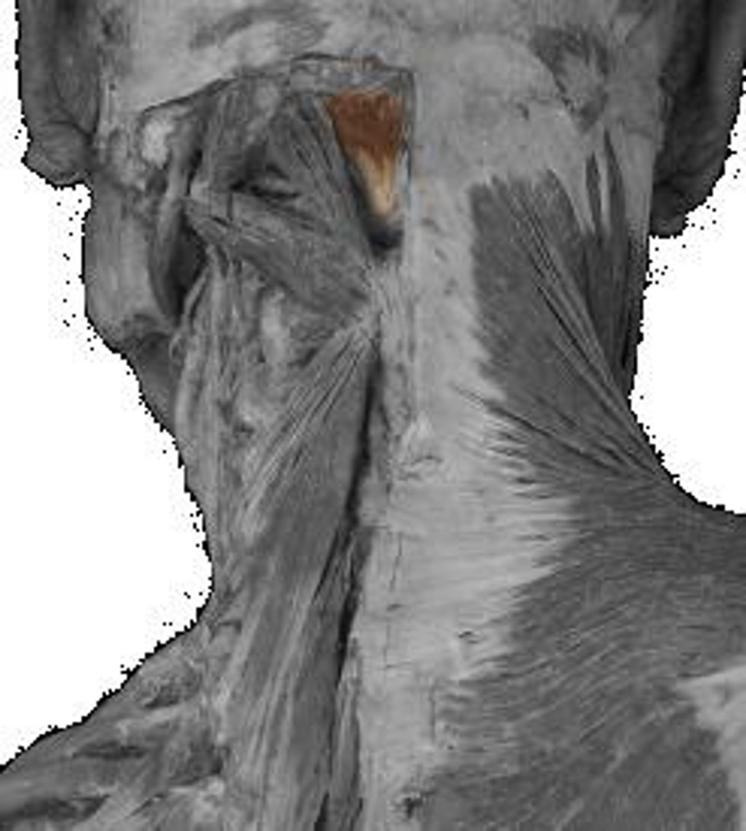 <p>can't pick up minors</p>