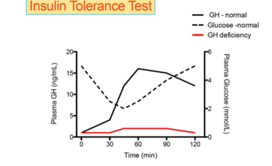 <p>Insulin makes someone hypglycemic - GH should increase to return glucose levels to normal</p>