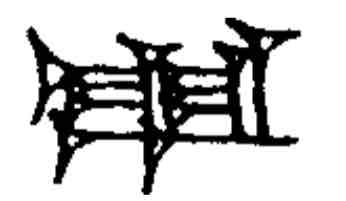 term image