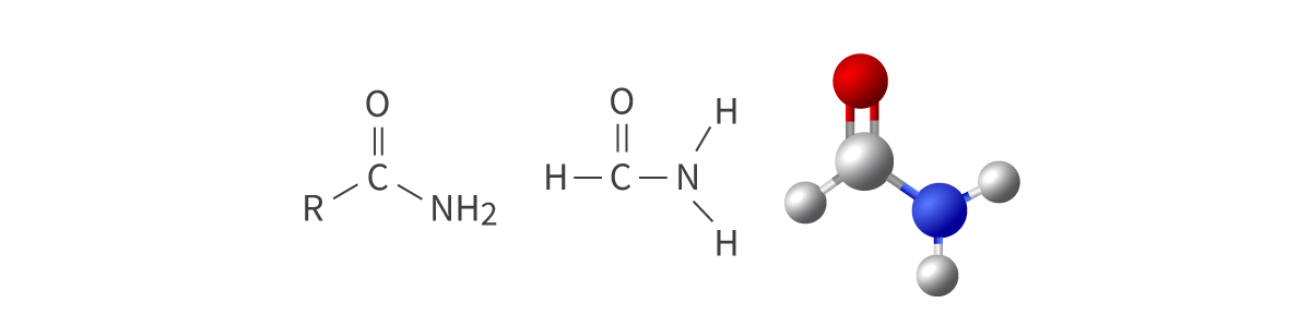 <ul><li><p>amido functional group</p></li><li><p>carbonyl group bonded to amino group</p></li><li><p>derivatives of ammonia; can be either primary, secondary, or tertiary</p></li></ul><p>Bond: <span>R–CONH2</span></p>