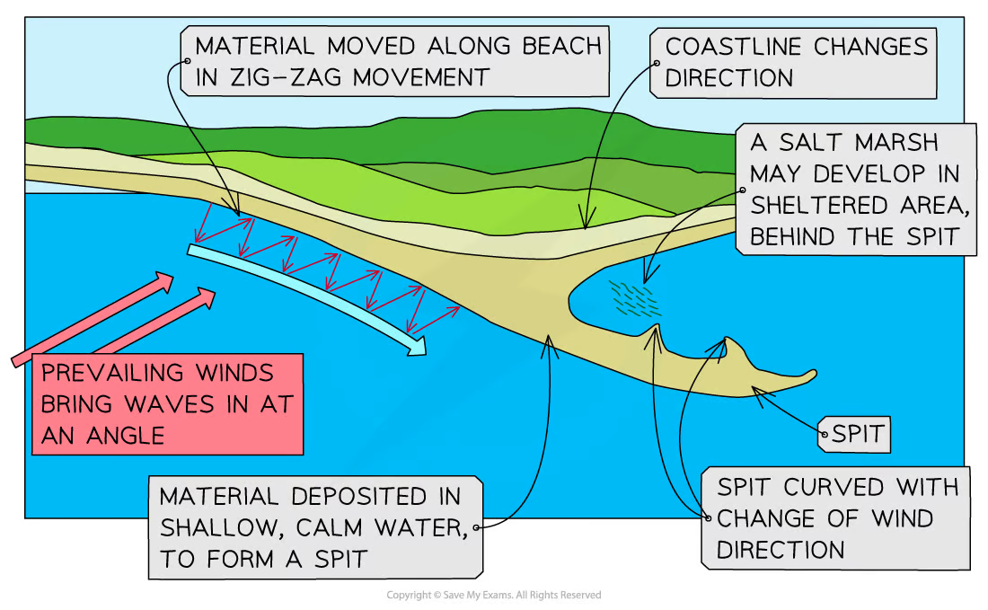 <ul><li><p>Sediment transported by LSD</p></li><li><p>Where coastline changes direction, a shallow, sheltered area allows for <strong>deposition of sediment</strong></p></li><li><p>Due to <strong>increased friction</strong>, more deposition occurs</p></li><li><p>Eventually, spit slowly builds up to sea level + extends in length</p></li><li><p>If wind changes direction, wave pattern alters, resulting in hooked end</p></li><li><p>Area behind spit becomes sheltered</p></li><li><p>Silts are deposited here to form salt marshes/mud flats</p></li></ul>