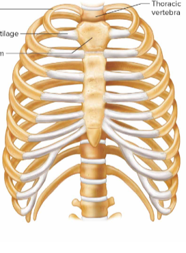 <p>What is this image pointing at? </p>