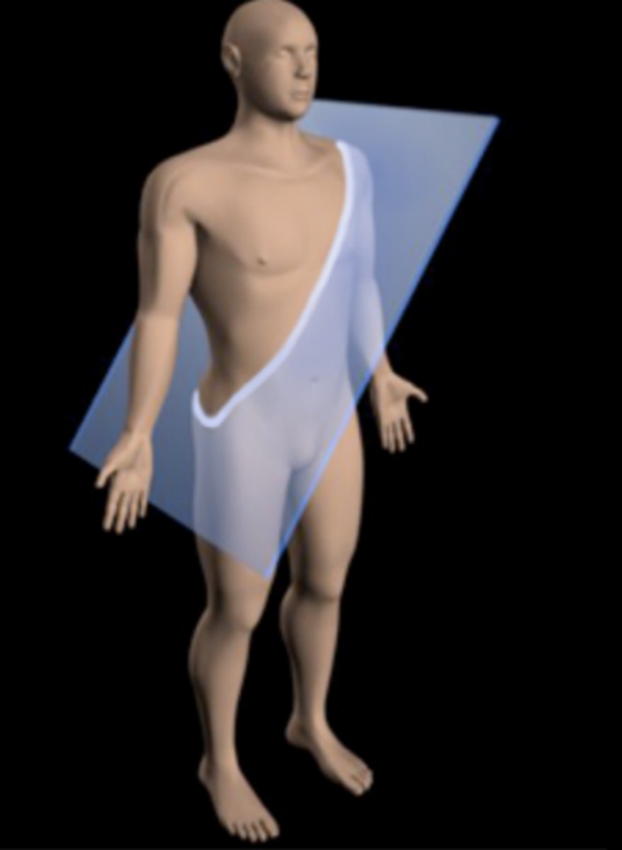 <p>Passes through the body at an angle</p>