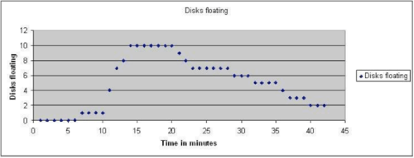 <p>0-14 mins: discs rise because of photosynthesis, and at 13 mins max # of discs are floating</p><p>14-20 mins: 10 discs still float because of balance of CO2 and O2 in the spongy mesophyll, but photosynthesis stops in this time (light reactions)</p><p>20 mins: discs begin to sink bc photosynthesis has stopped, no more O2 being produced</p><p><strong><span class="bgY">cellular respiration continues in cells, which uses up O2 in spongy mesophyll, and leaves lose their buoyancy</span></strong></p>