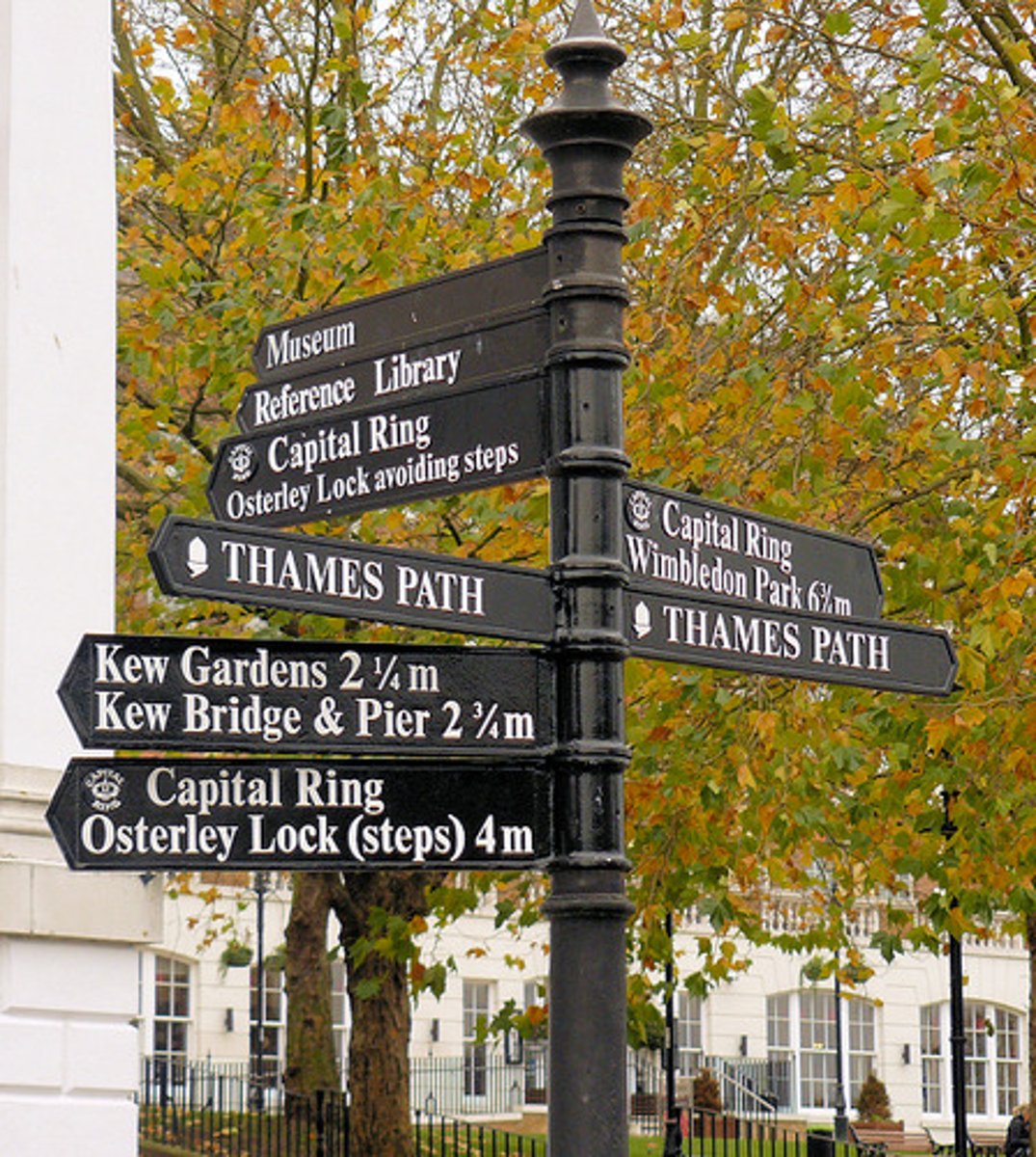 <p>the sign</p>