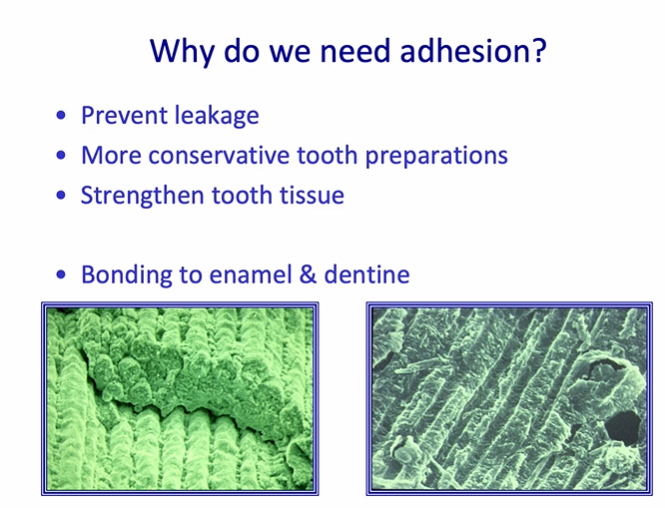 <ol><li><p>prevents leakage at the <em>margins or at the restoration of the tooth-restoration interface&nbsp;</em></p></li><li><p>more <strong>conservative </strong>tooth preparations&nbsp;</p></li><li><p><strong>strengthen </strong>tooth tissue&nbsp;</p></li></ol><p></p>