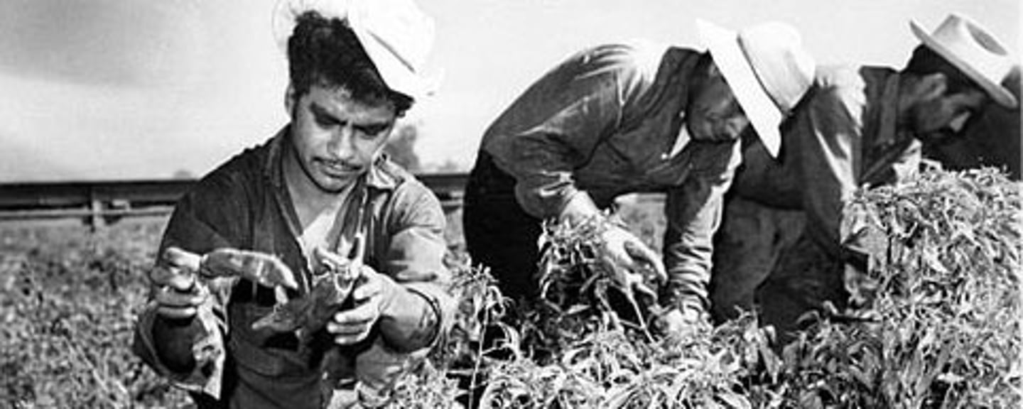 <p>As Mexicans arrived in the United States, most became poorly paid agricultural, mining, and railroad laborers, with little prospect of upward economic mobility.</p>