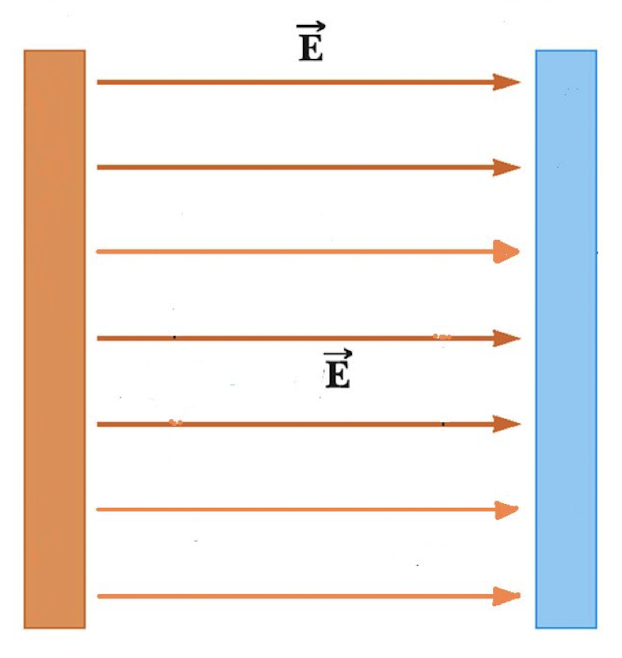 <p>A _______ has the same magnitude and direction at all points in space.</p>