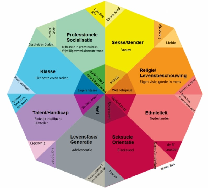 diversiteit cirkel (meetinstrument)