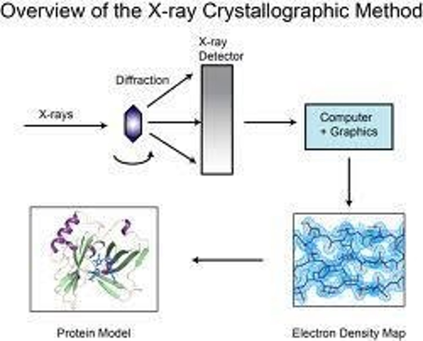 <p>It is used to determine molecular structures, particularly in complex protein structures.</p>