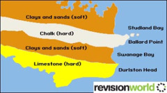 <p>The alternate bands of hard and soft rock are parallel to the coast</p>