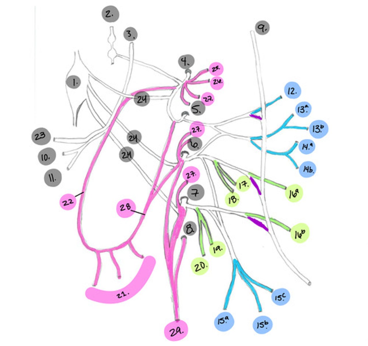 <p>What is #14a?</p>
