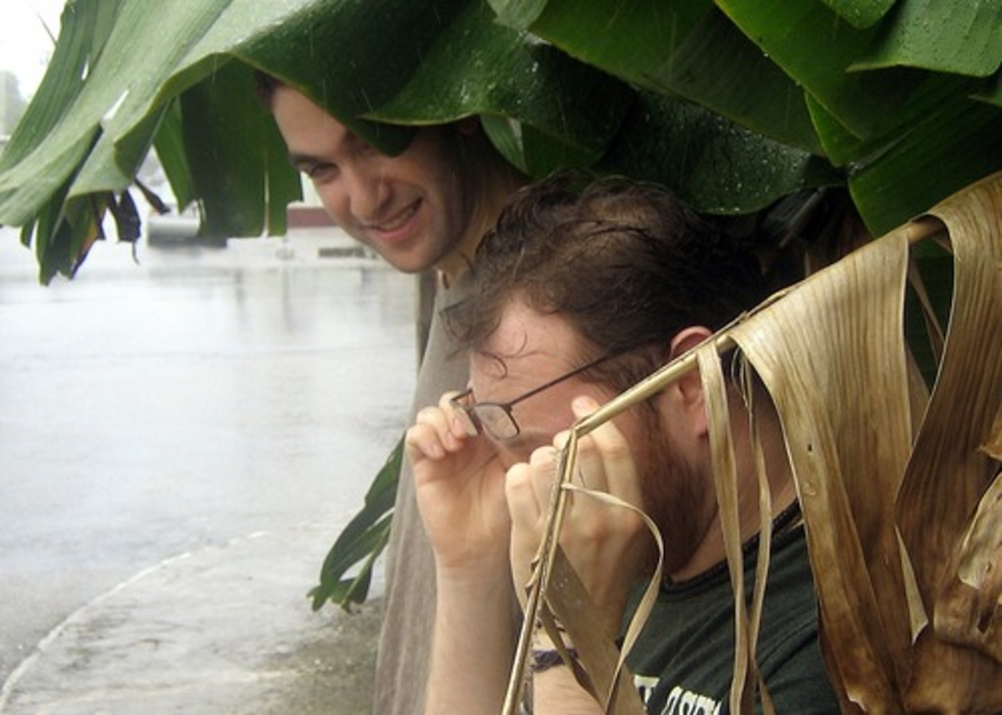 <p>to take shelter</p>