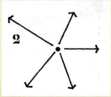 <p> has linear paths extending from or terminating at a central, common point.</p>
