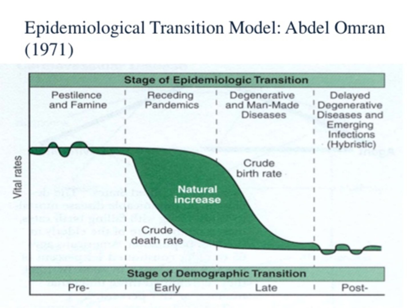<p>A framework used by geographers, demographers, and public health experts to understand how patterns of disease and causes of death change over time in relation to economic development and social progress.</p><p>-Tells us what the leading causes of death are in each stage of the demographic transition model.</p>