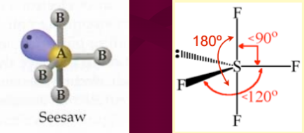 <ul><li><p>AB<sub>4</sub>E</p></li><li><p>5 electron domains</p></li><li><p>1 lone pair</p></li><li><p>90 degrees (axial-equitorial)</p></li><li><p>180 degrees (axial-axial)</p></li><li><p>&lt;120 degrees (equitorial-equitorial)</p></li><li><p>Electron domain geometry: </p></li></ul>