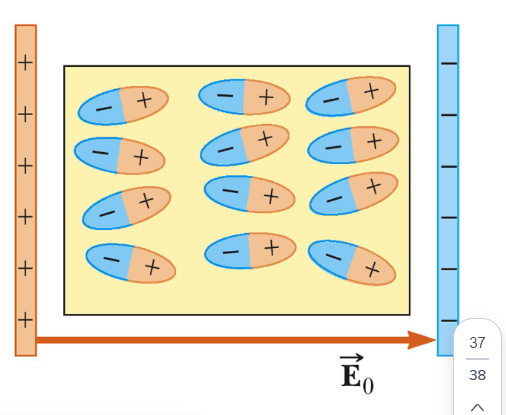 <ul><li><p>presence of the positive charge on the dielectric effectively reduces some of the negative charge on the metal</p></li><li><p>this allows more negative charge on the plates for a given applied voltage</p></li><li><p>the capacitance increases</p></li></ul><p></p>