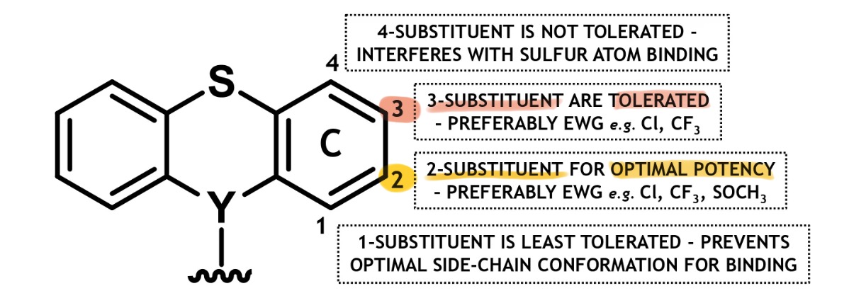<ul><li><p>only v minimal ring substitution on ring C is permitted → &lt;2 ring subs diminishes bioactivity</p><ul><li><p>vast majority of drugs only possess one ring C sub</p></li></ul></li><li><p>2-C sub → shld be EWG for optimal dopamine (DA) binding</p></li></ul><p></p>