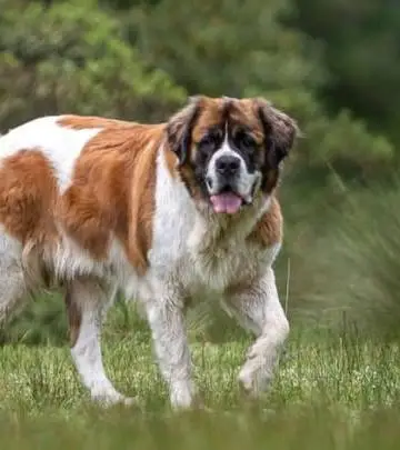 <p>( working group)</p>