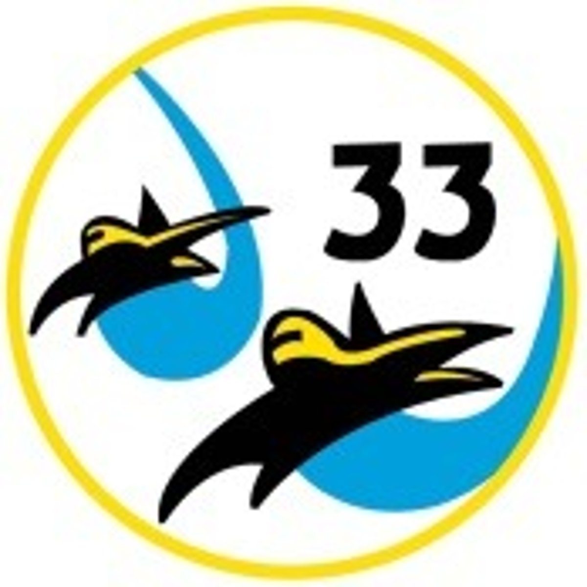 <p>CS-33</p>