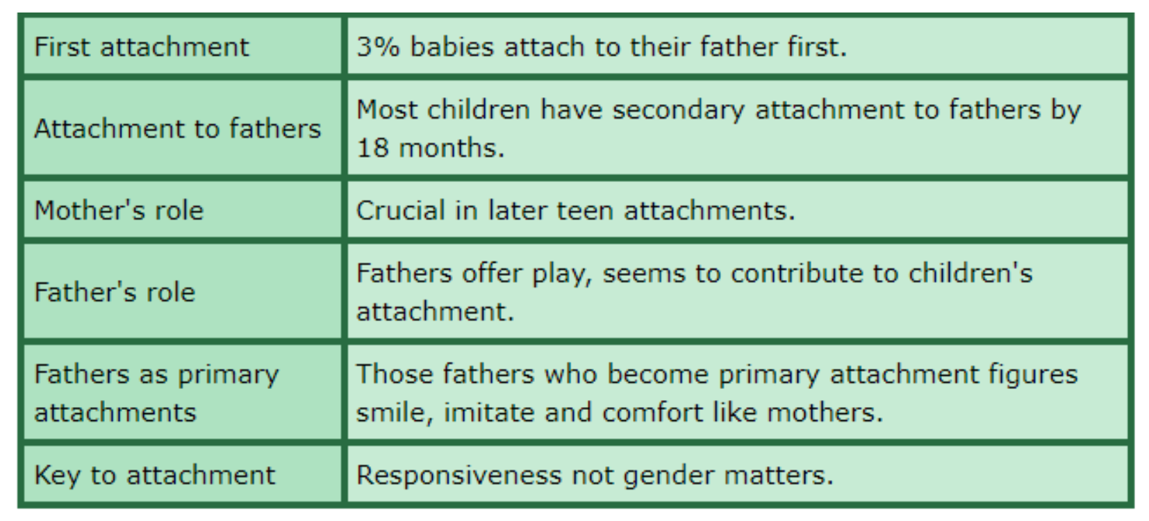 <ul><li><p><strong>The quality of fathers’ play with infants is related to children’s attachments in adolescence</strong></p></li><li><p><strong>Fathers can act as primary caregivers and adopt behaviours seen in mothers</strong></p></li><li><p><strong>The key to attachment is the level of responsiveness, not the gender of the parent</strong></p></li></ul><p></p>