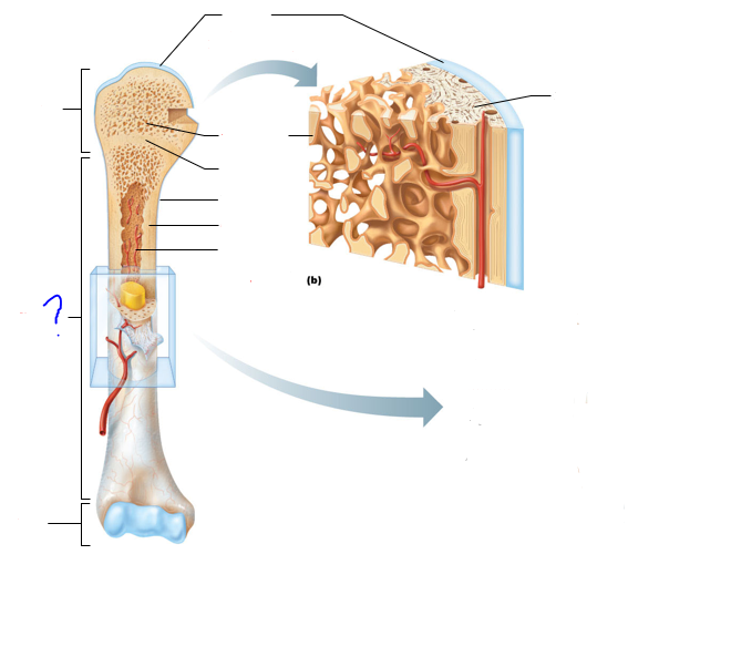 <p>(?)</p>