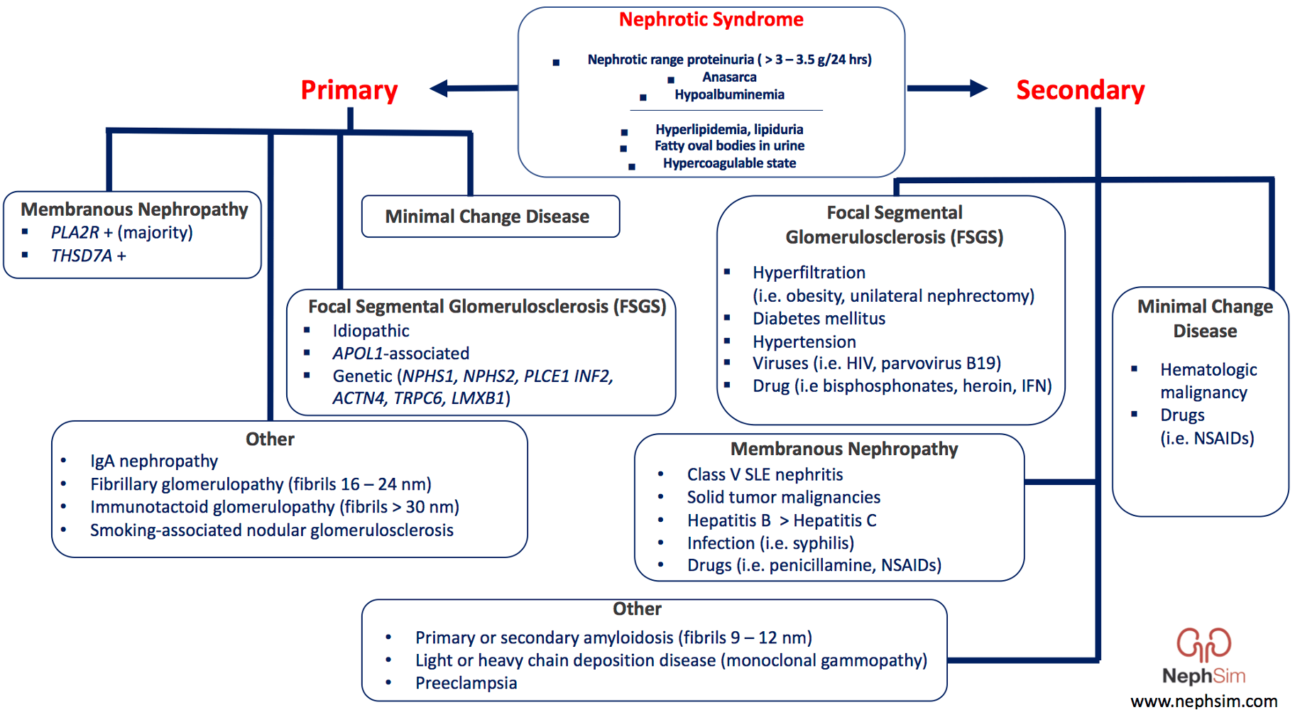 <p>Health MaintenanceNephrotic Syndrome</p>