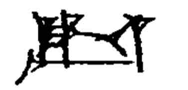 term image