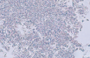 <ol start="69">
<li>What are Amorphous Crystaline material?</li>
</ol>