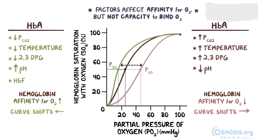<p>Oxy-Hgb Dissociation Curve Overview</p>