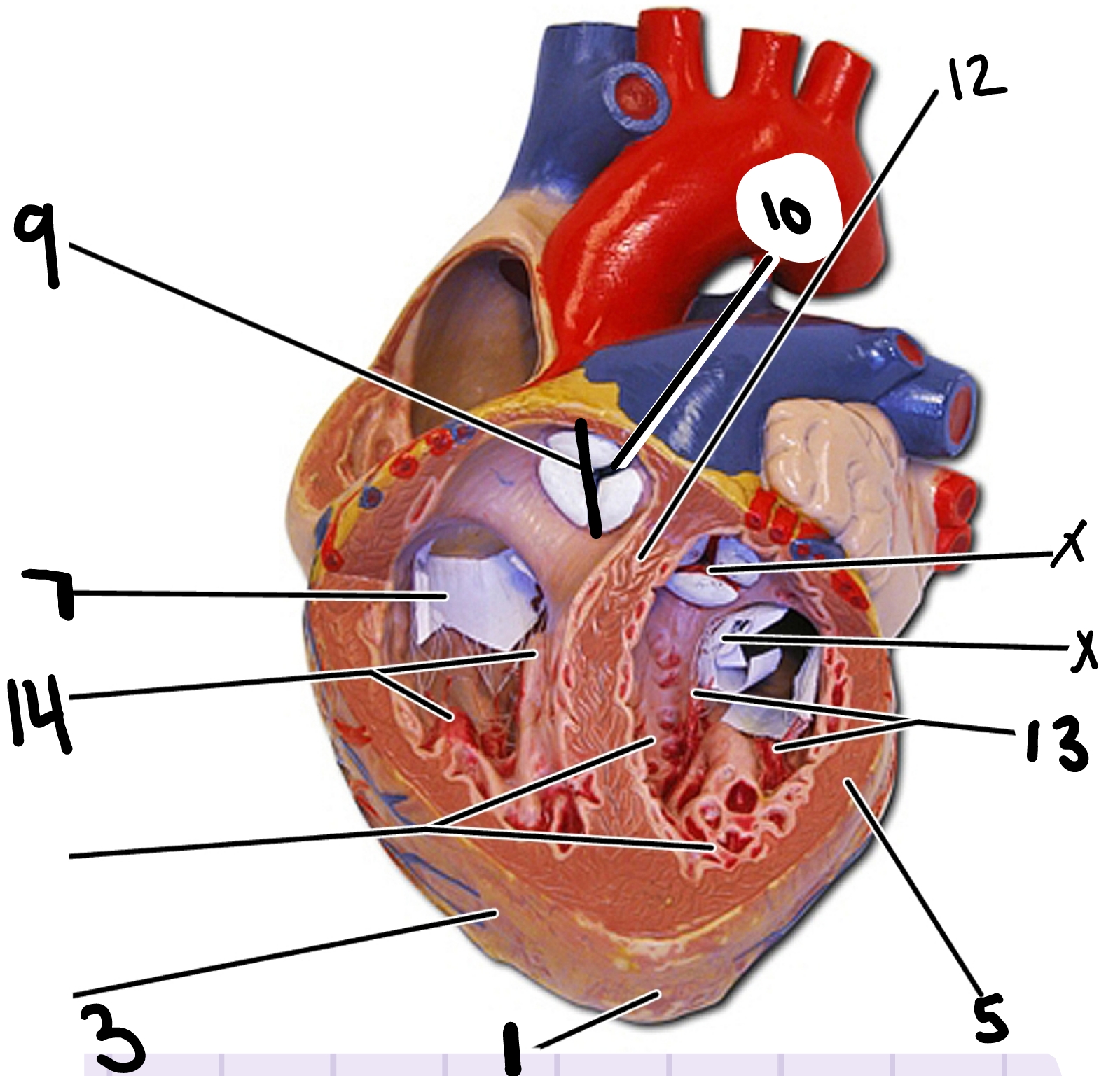 <p>3</p>