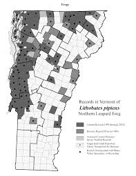 <p>overwinter in permanent water, breed in floodplains and marshes, forage in wet meadows and fields, common in Champlain River Valley</p>