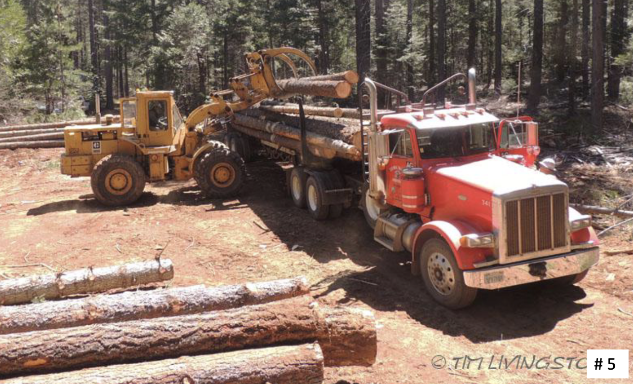 <p>What the f##ing shi# is this </p>