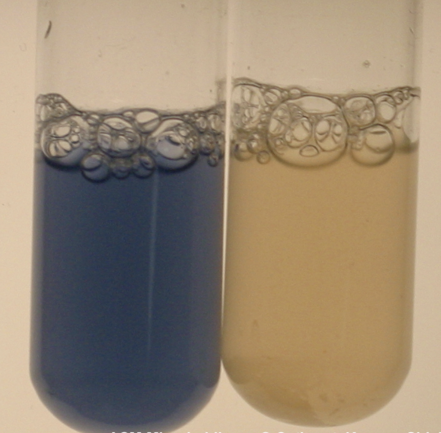 <p>Classification: Differential</p><p>Ingredients: Tetra-methyl, Zinc, Magnesium</p><p>Lab Usage: Determines if organism can oxidase an enzyme</p><p>Results: if color does not change then the bacteria is negative </p>
