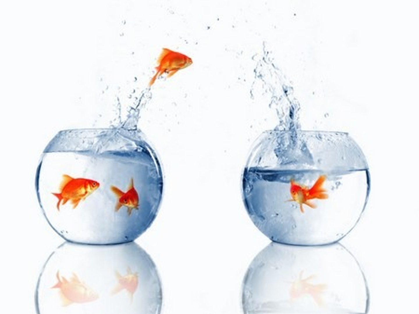 <p>to move from one place to another</p>