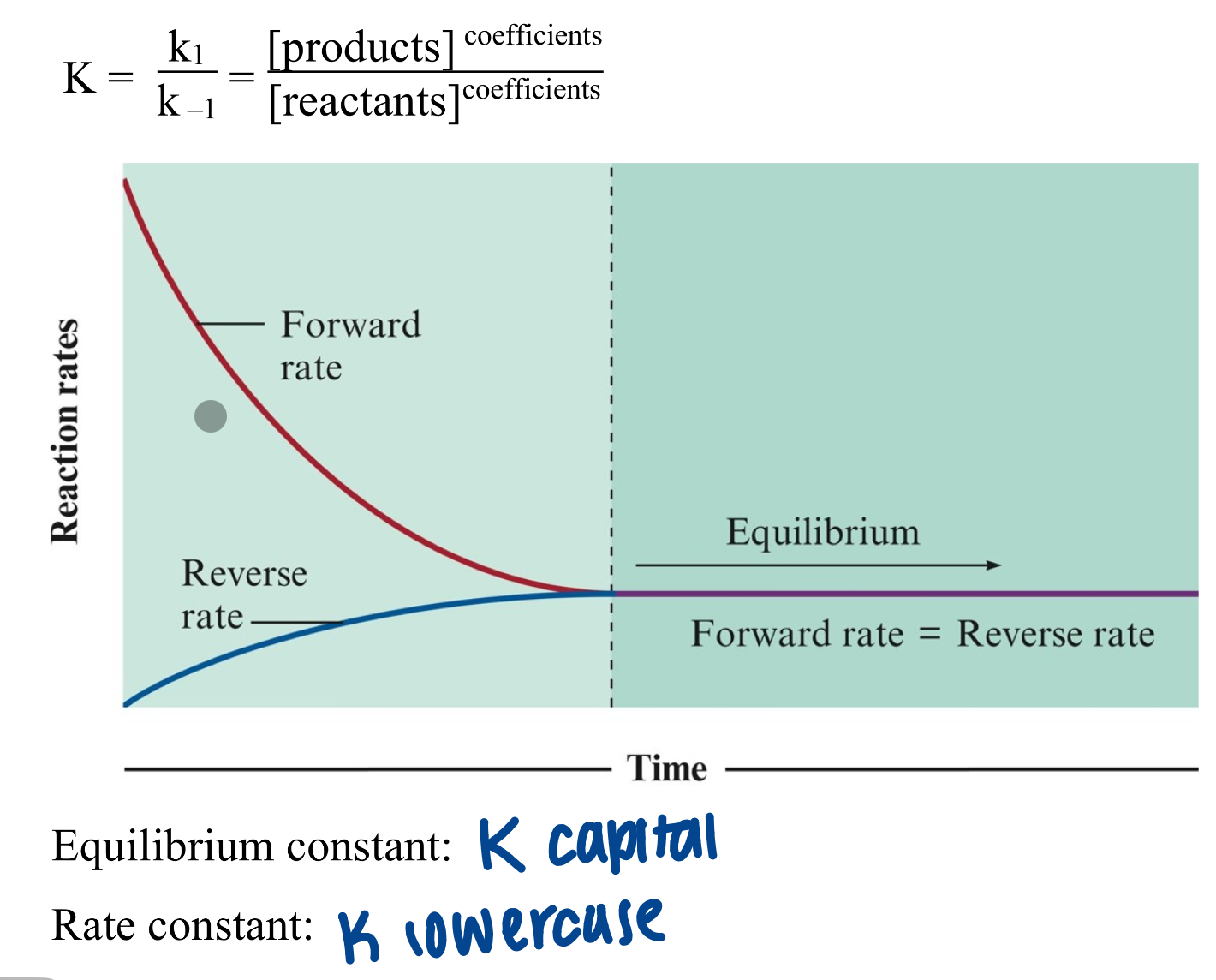 <p>state when concentration of reactants and products remain constant with time</p><ul><li><p>dynamic state&nbsp;</p></li><li><p>rate fwd = rate rvs</p></li></ul><p></p>