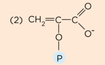 <p>What structure is this?</p>