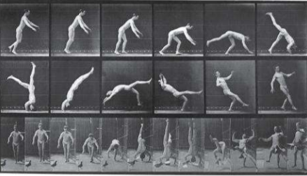 <p>Eadweard Muybridge</p>