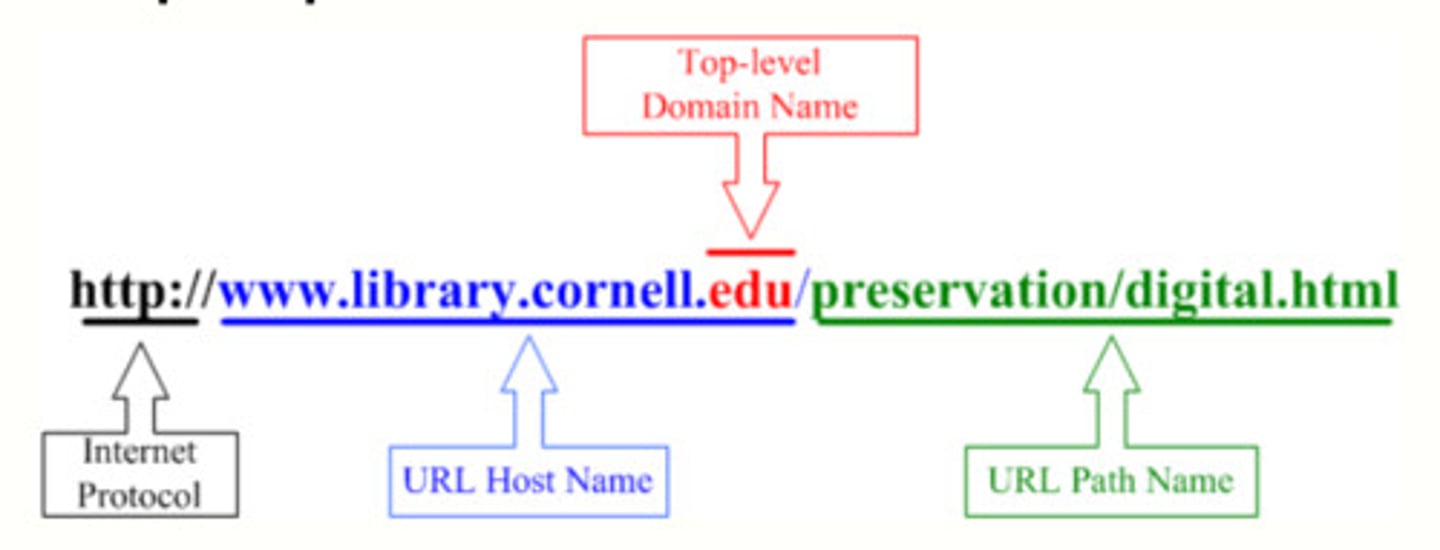 <p>Protocol: standard for communication between browsers and servers (usually http or https)</p><p>domain name: the name of the server that hosts the data</p><p>path: the location of the data in a hierarchy of folders on the server</p>