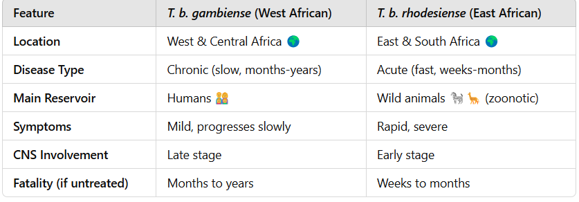 <p><span data-name="brain" data-type="emoji">🧠</span> <strong>"G for Gambiense = Grows Slowly" (Chronic)</strong><br><span data-name="brain" data-type="emoji">🧠</span> <strong>"R for Rhodesiense = Rapid Death" (Acute &amp; Severe)</strong></p>