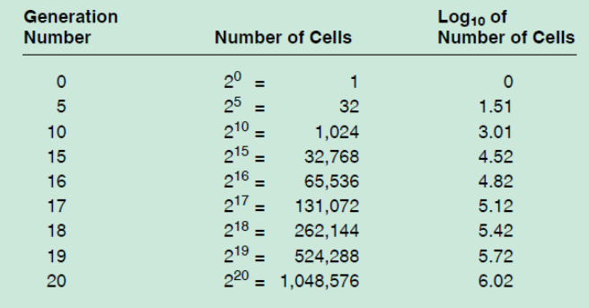<ul><li><p>time required for a cell to divide</p></li><li><p>varies considerably among organisms and with environmental conditions such as temperature</p></li><li><p>uses logarithmic scales</p></li></ul><p></p>
