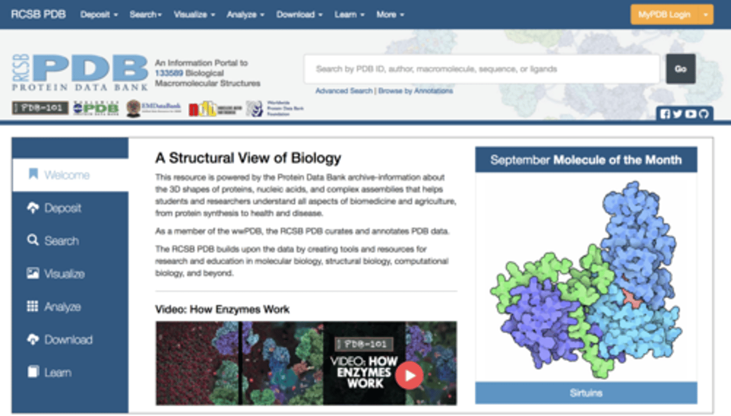 <p>An international database that archives the data describing the three-dimensional structure of nearly all macromolecules for which structures have been published.</p>
